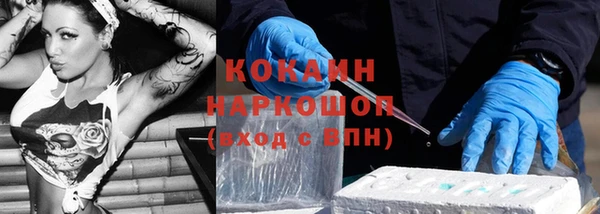 шишки Сатка