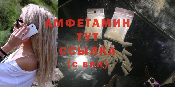 амф Володарск