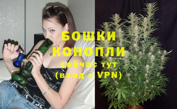 амф Володарск