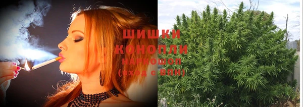 дмт Горно-Алтайск