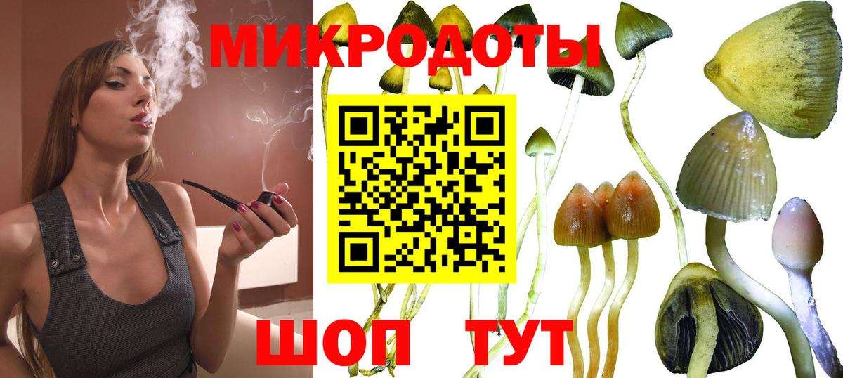 Псилоцибиновые грибы Cubensis Гудермес