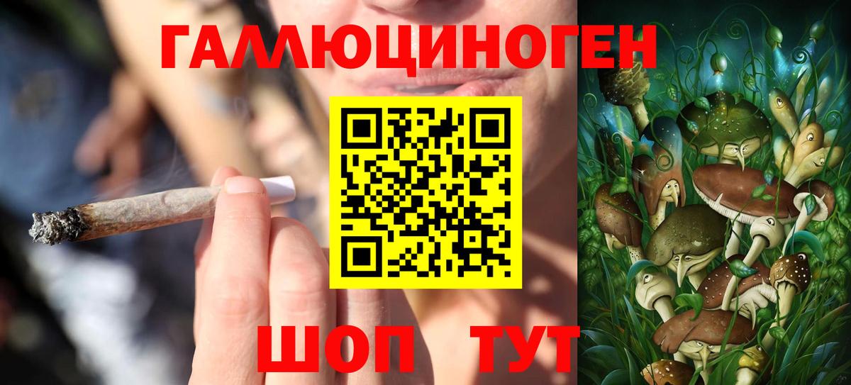 Псилоцибиновые грибы Magic Shrooms  Вход с VPN  Гудермес  Галлюциногенные грибы ЛСД 