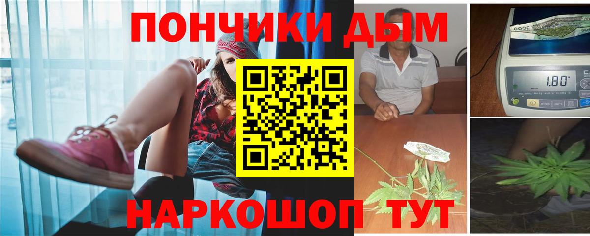 Бошки Шишки планчик  Бошки Шишки конопля  Канабис Bruce Banner  Гудермес 